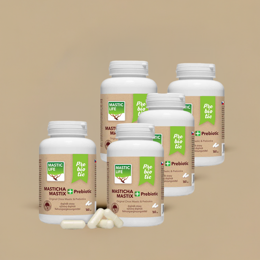 Mastic+ Prebiotic Economy Long-Term Mastic Therapy (800 capsules) Masticlife